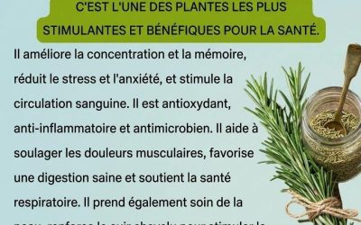 Le romarin et ses bienfaits pour la santé