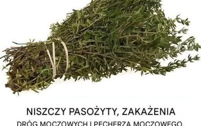 Należy do najpotężniejszych roślin na świecie.