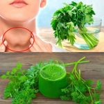 6 prostych kroków do naturalnego wyleczenia tarczycy za pomocą pietruszki i innych produktów