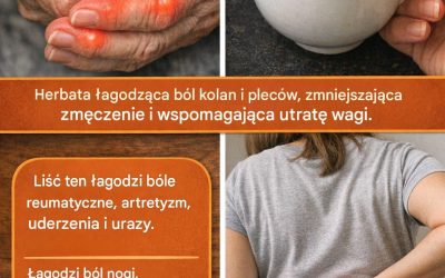 # Tymianek: naturalny środek o wielu korzyściach zdrowotnych